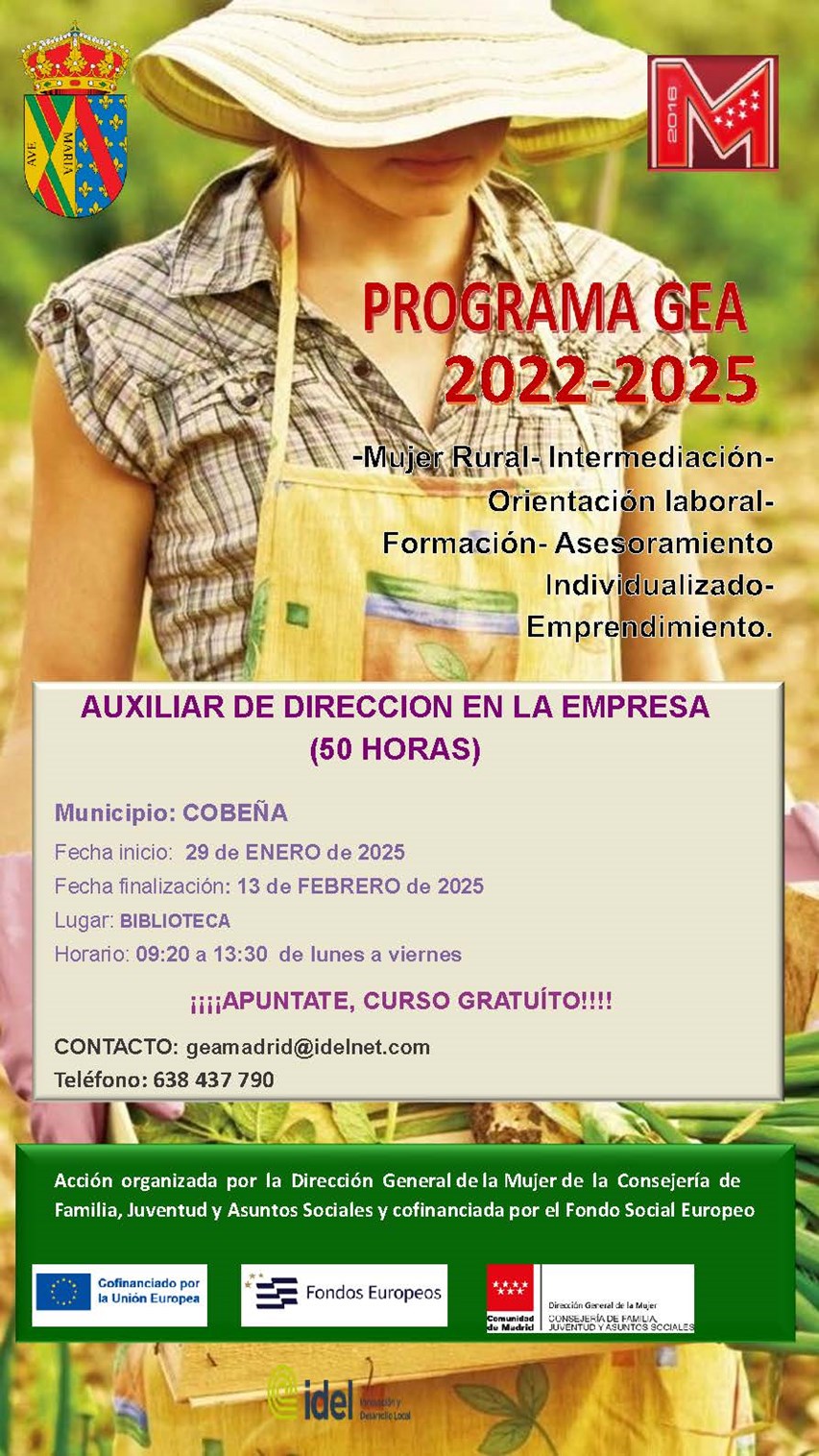 Curso  Auxiliar de Dirección de Empresa Programa GEA | Enero 2025